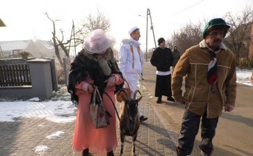 Miś i koza robili w popielowskich gospodarstwach spore zamieszanie 7