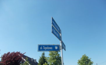 Topole poszły pod nóż... 3