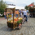 Tradycja i nowoczesność - dożynki gminne w Jełowej 419