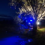 Pierwszy koncert na tarasie w Brynicy 8