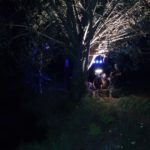 Pierwszy koncert na tarasie w Brynicy 11