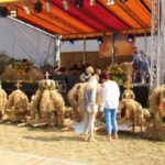 Dożynki Gminne w Starych Kolniach – fotorelacja 13