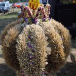 Dożynki Gminne w Starych Kolniach – fotorelacja 14