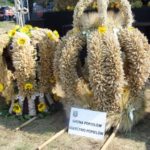 Dożynki Gminne w Starych Kolniach – fotorelacja 17