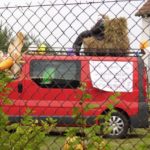 Dożynki Gminne w Starych Kolniach – fotorelacja 115