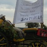 Dożynki Gminne w Starych Kolniach – fotorelacja 118