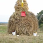 Dożynki Gminne w Starych Kolniach – fotorelacja 126