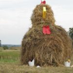 Dożynki Gminne w Starych Kolniach – fotorelacja 127