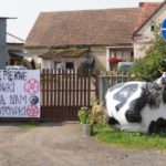 Dożynki Gminne w Starych Kolniach – fotorelacja 146