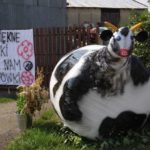 Dożynki Gminne w Starych Kolniach – fotorelacja 147