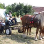 Dożynki Gminne w Starych Kolniach – fotorelacja 148