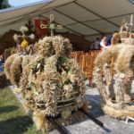 Dożynki Gminne w Starych Kolniach – fotorelacja 154