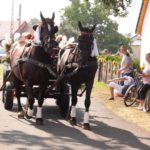 Dożynki Gminne w Starych Kolniach – fotorelacja 170