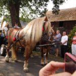 Dożynki Gminne w Starych Kolniach – fotorelacja 173