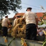Dożynki Gminne w Starych Kolniach – fotorelacja 222