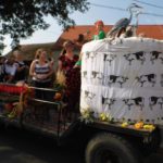 Dożynki Gminne w Starych Kolniach – fotorelacja 238