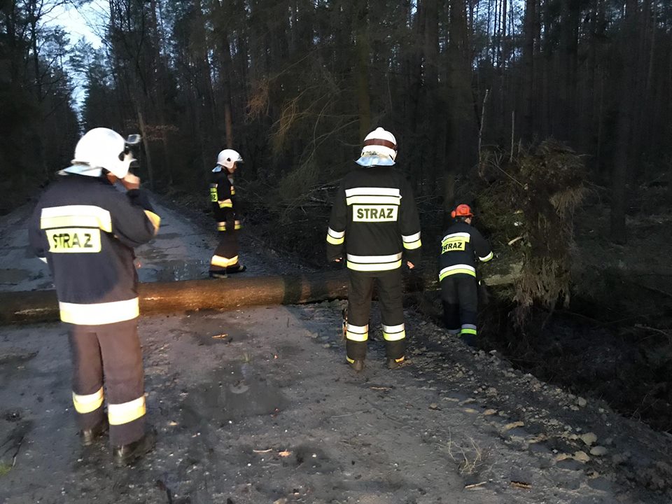 OSP Kup walczyło ze skutkami wichury 2