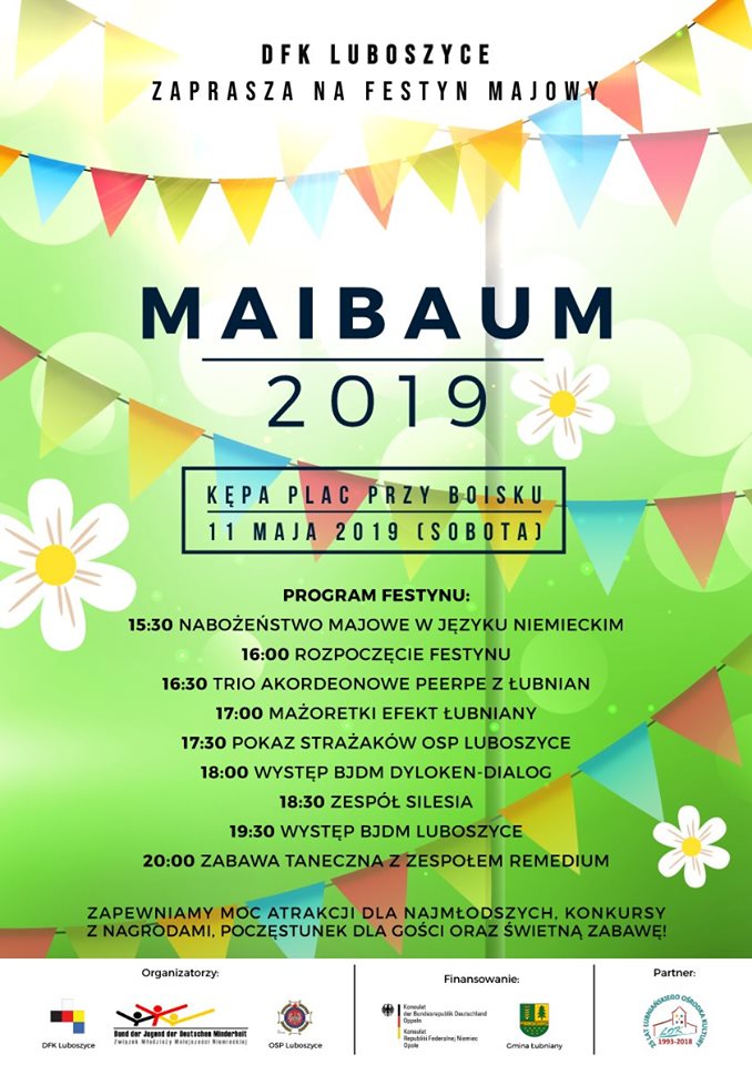 Maibaum 2019 4