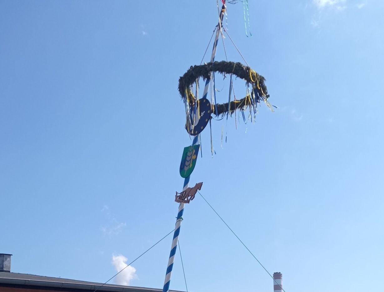Dobrzeń Mały – usiłowano zniszczyć drzewko pokoju 1