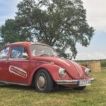 Impreza rodem z Dzikiego Zachodu przyciągnęła tłumy [GALERIA] 10