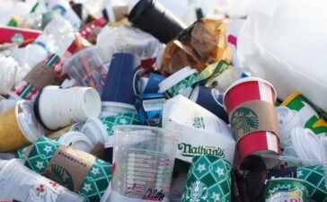 Plastikowe opakowania – błogosławieństwo czy przekleństwo? 3