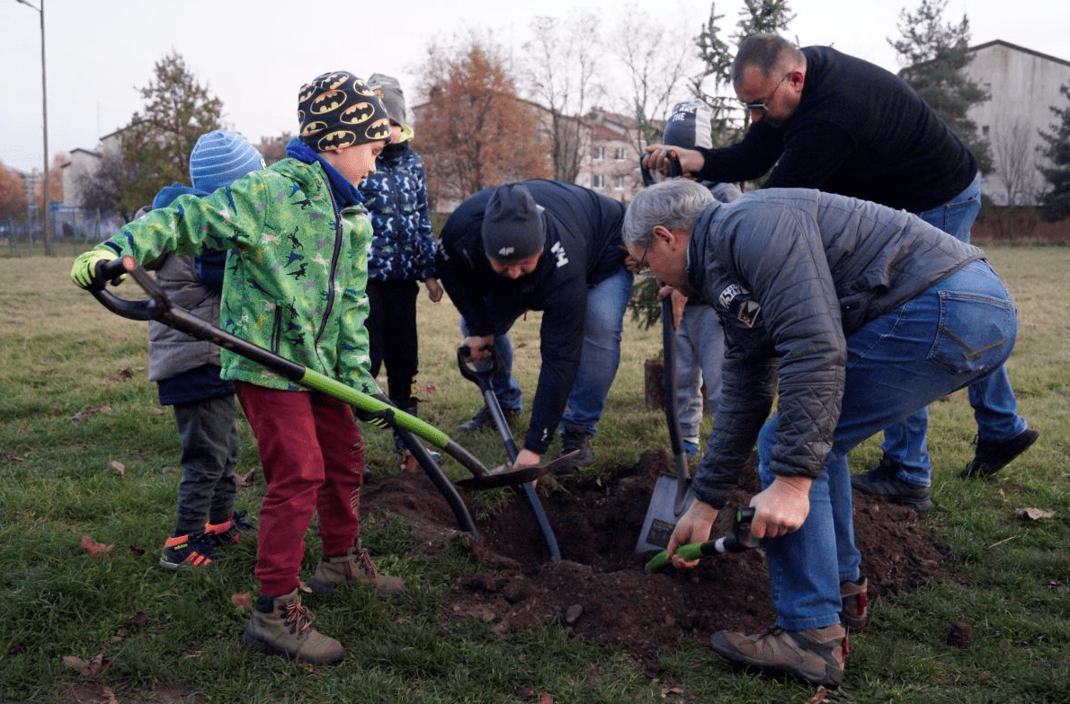 Wspólnie zasadzili ponad 100 drzew [GALERIA] 1